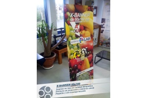 x-banner_publilar-2